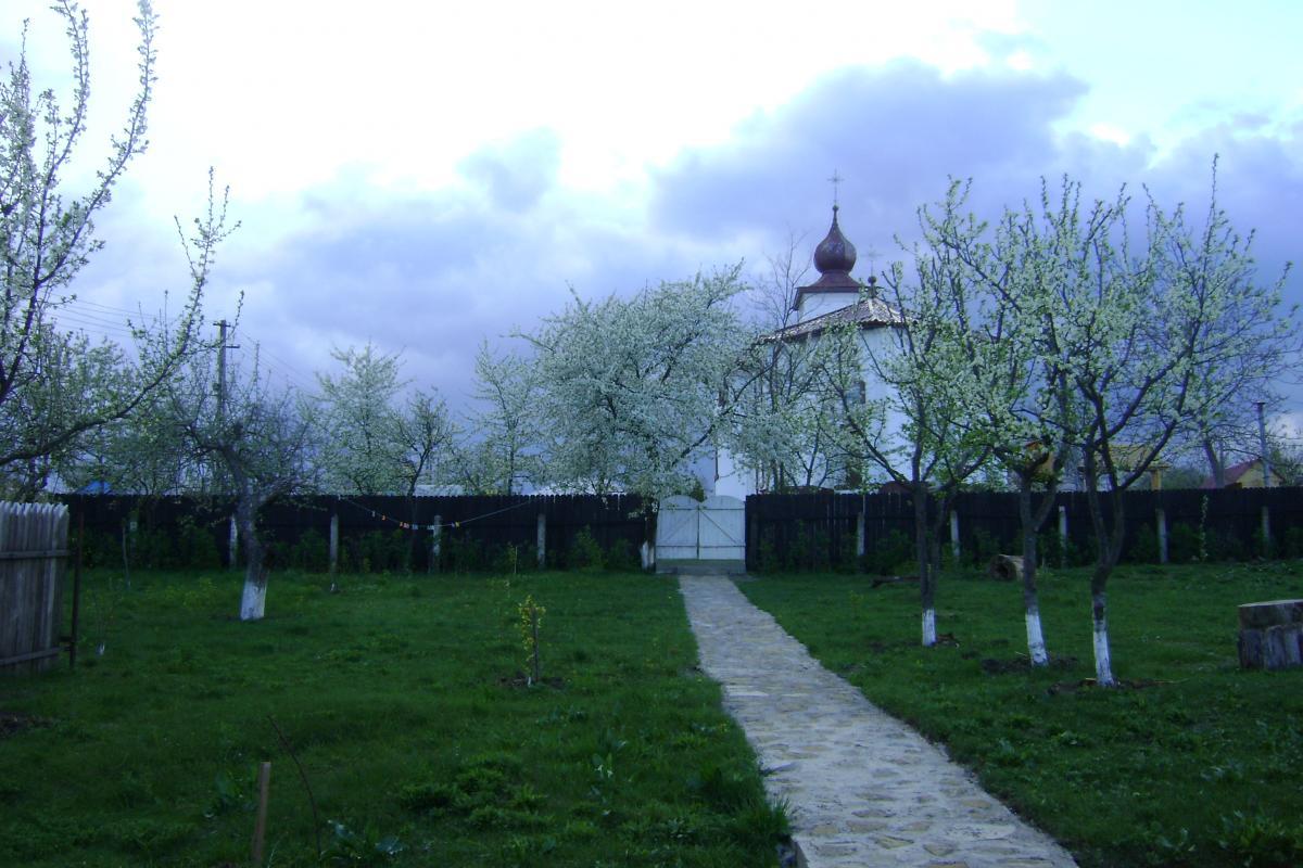 Cararea de legatura cu Biserica!